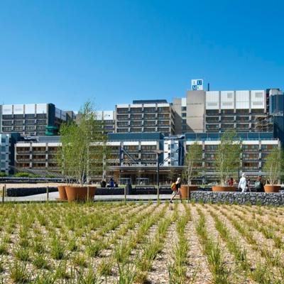 Het LUMC in Leiden