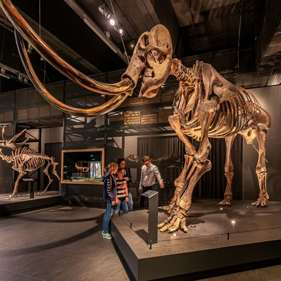 Naturalis Naturalis