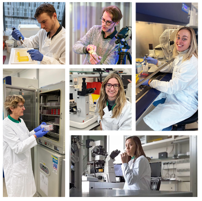 Figure 2 - The people – life in the lab