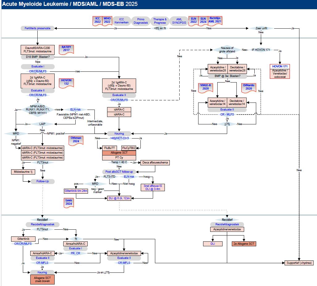 Zorgpad acute myeloide leukemie.jpg