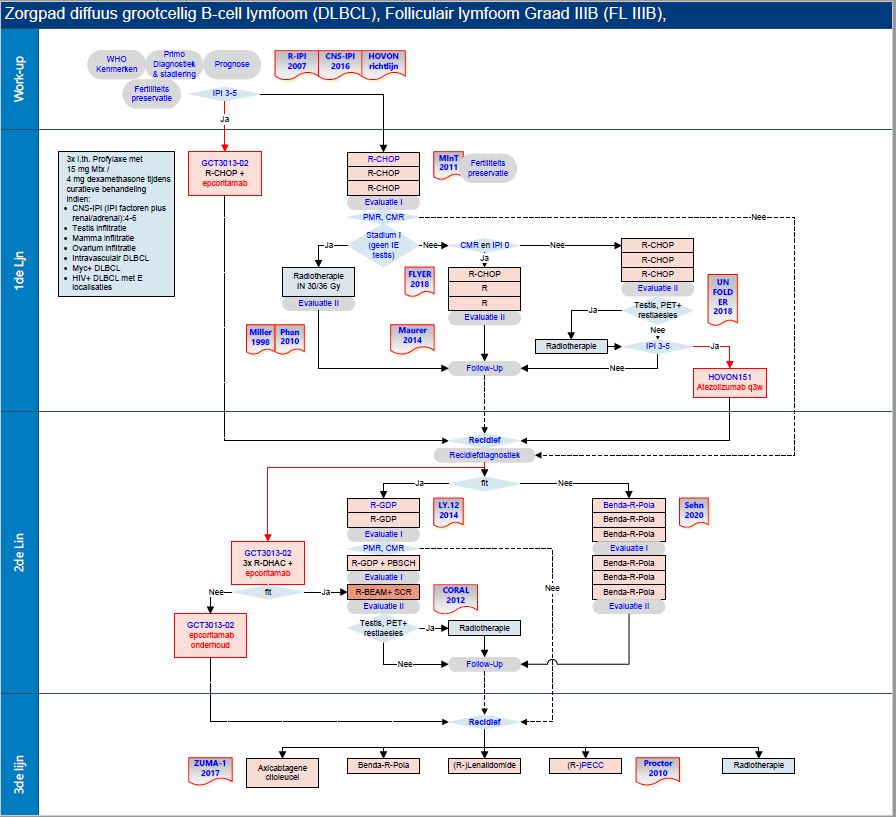 Zorgpad grootcellig B-cel-lymfoom (DLBCL).jpg