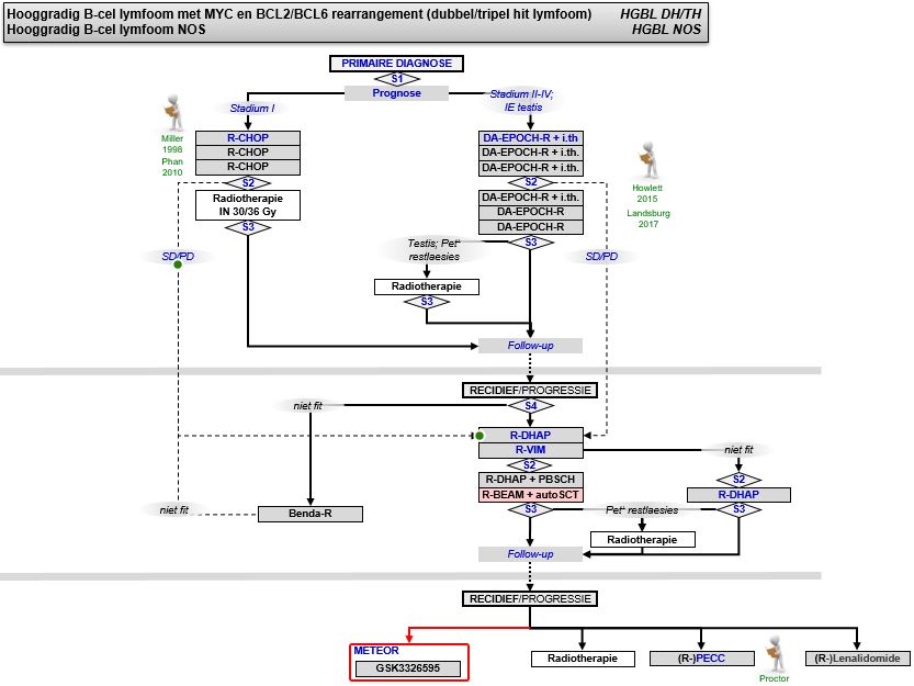 Zorgpad Hooggradig B-Cell lymfoom (HGBL).jpg