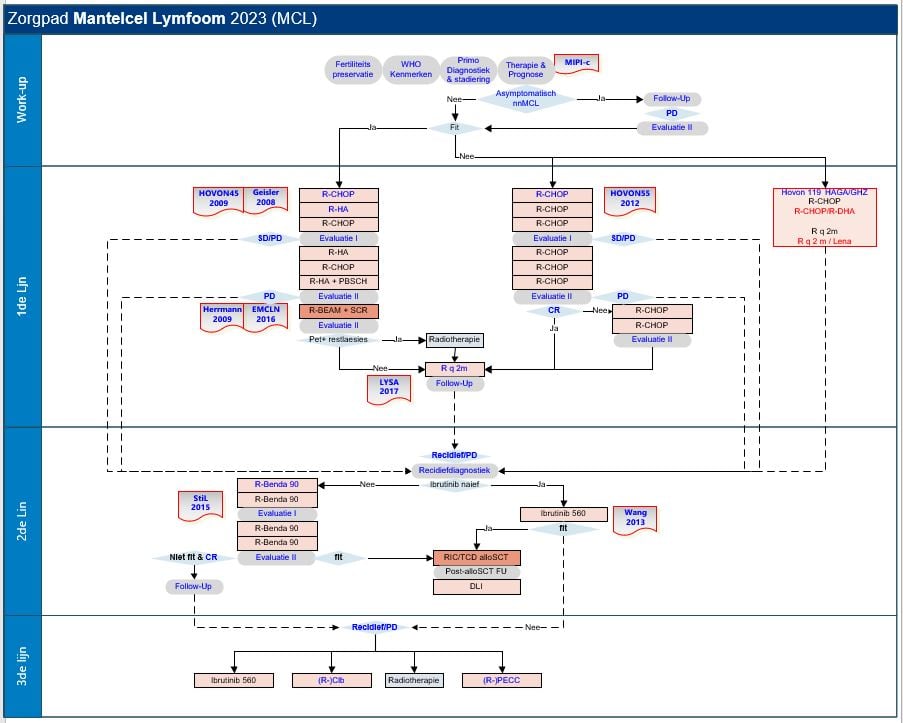 zorgpad mantelcel lymfoom.jpg