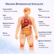 Nieuw Zorgpad voor ANCA Vasculitis