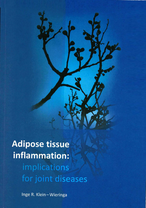 adipose_tissue_inflammation.PNG