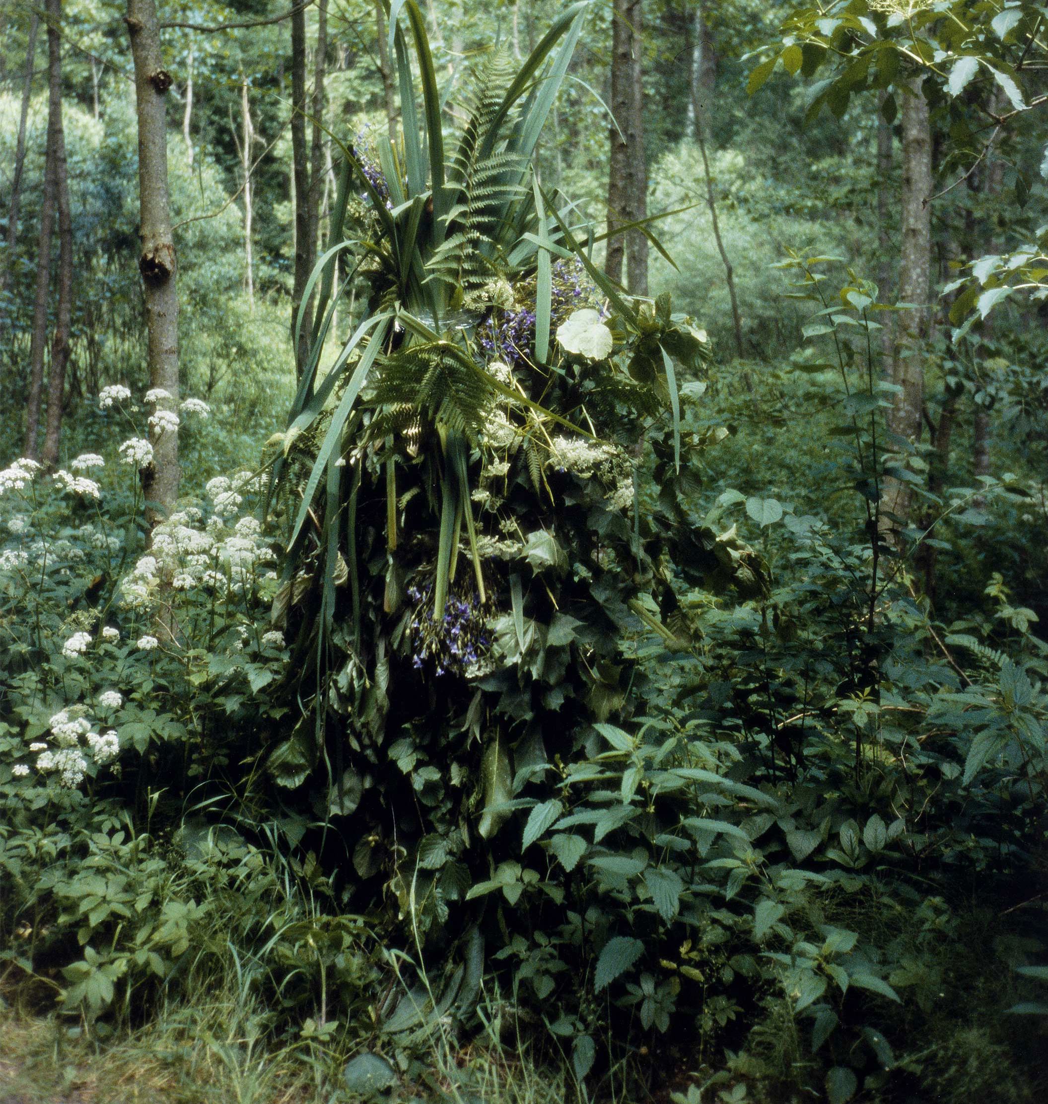 Melanie Bonajo, After the afterlife, foto, 91 x 66 cm. (2007)