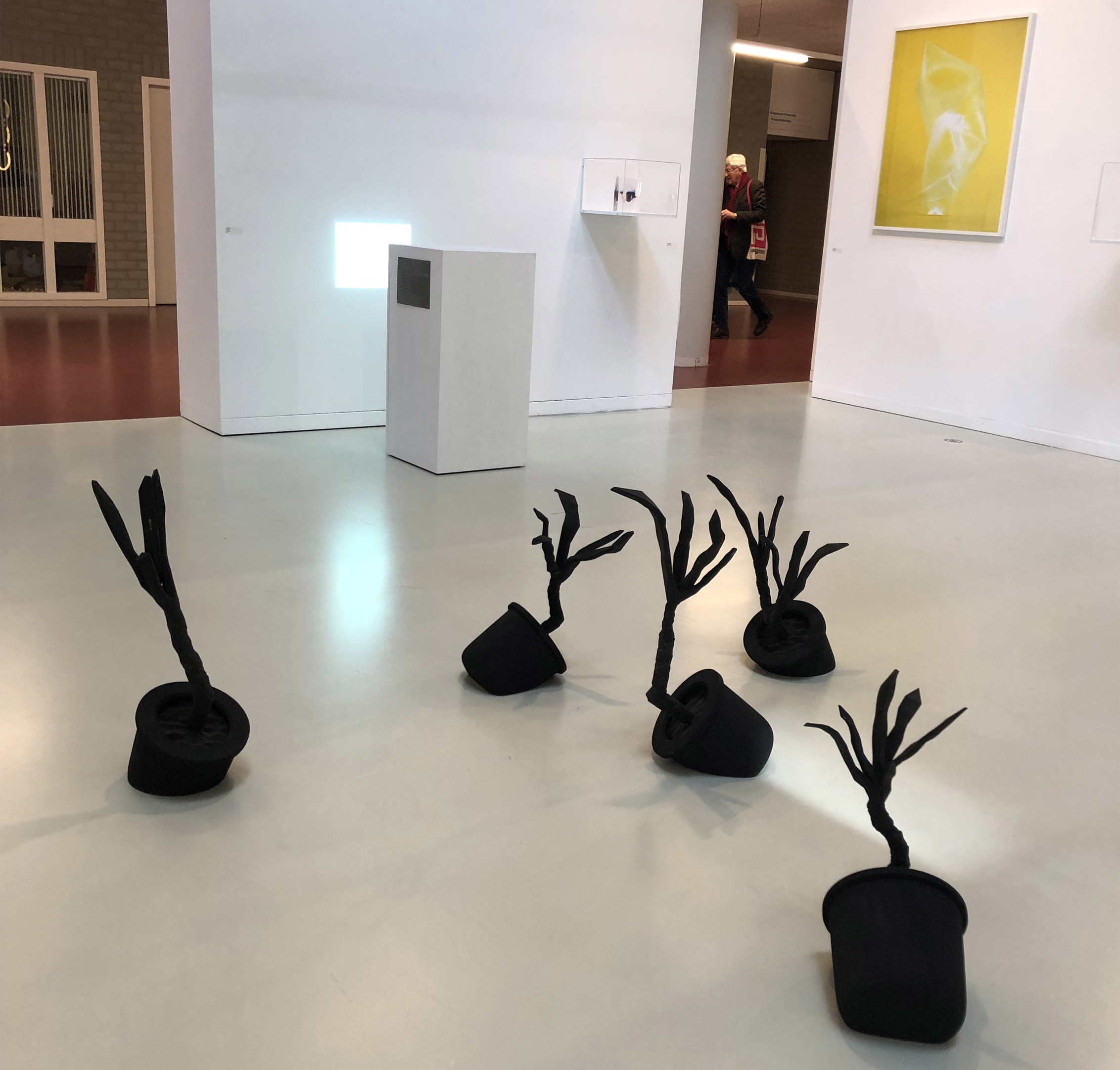 Healing Light, februari 2019 – mei 2019