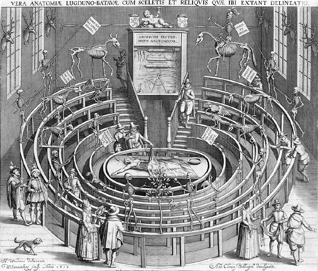 Anatomisch theater.jpg