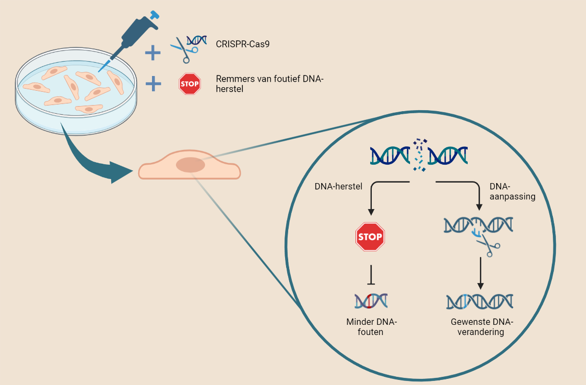 CRISPR-Cas9 (1).png