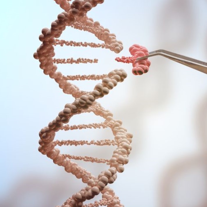CRISPR-Cas DNA knip-en-plak-techniek CRISPR-Cas