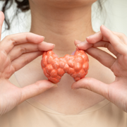 LUMC-onderzoek laat zien dat deel van de ouderen veilig kan stoppen met schildkliermedicatie