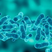 De allerkleinste personal trainer leeft in je darmen 