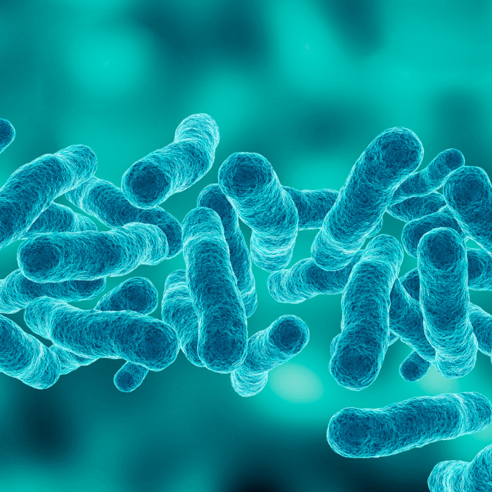 Een afbeelding van groen blauwe staafjes die darmbacterien voorstellen