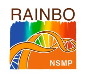Logo_oranje studie NSMP.jpg