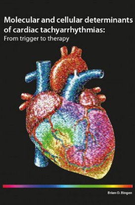 Brian Bingen (MD, PhD): 5 okt. 2016
