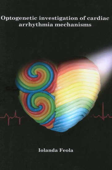 Iolanda Feola (PhD): 11 dec. 2018