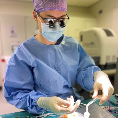 De dienst door met Dorottya de Vries