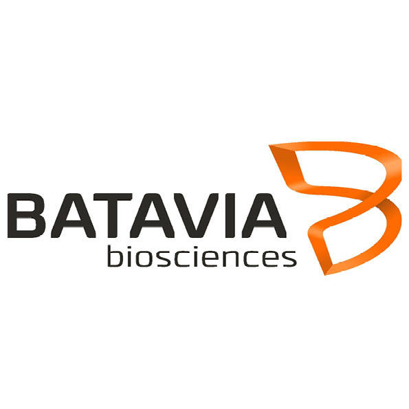 Batavia Batavia