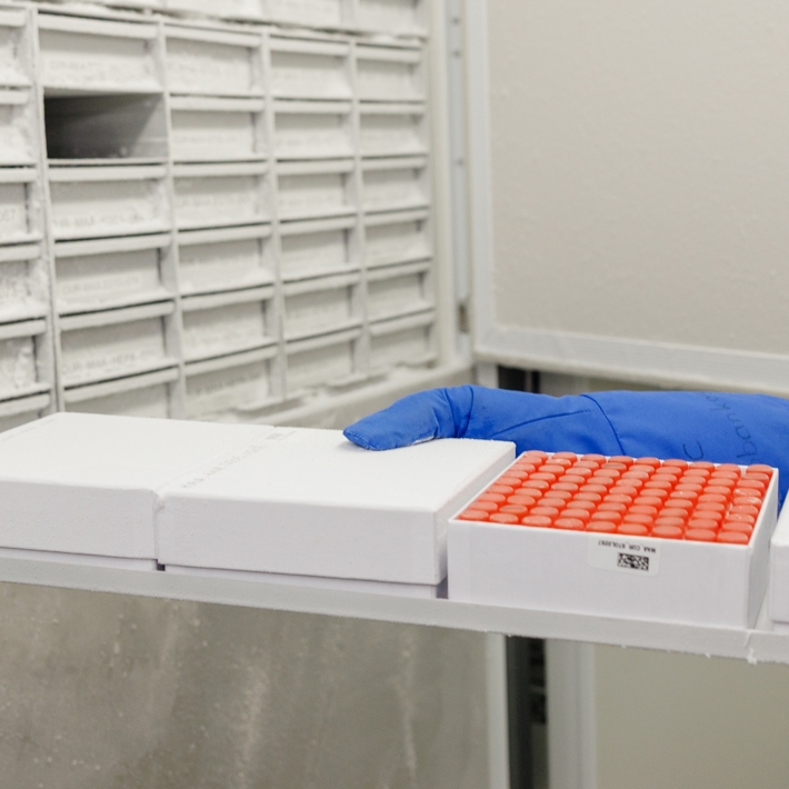 Drawer containing 81 tubes with screw caps per box . In total 4 boxes per drawer. A freezer contains around 144 drawers.