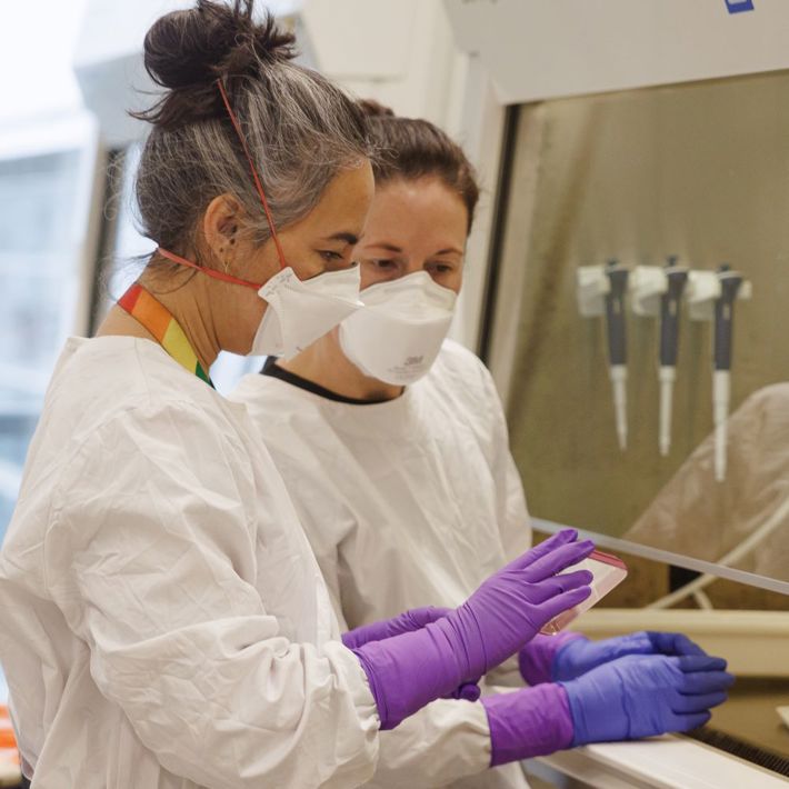 working with mycobacteria at BSL3 