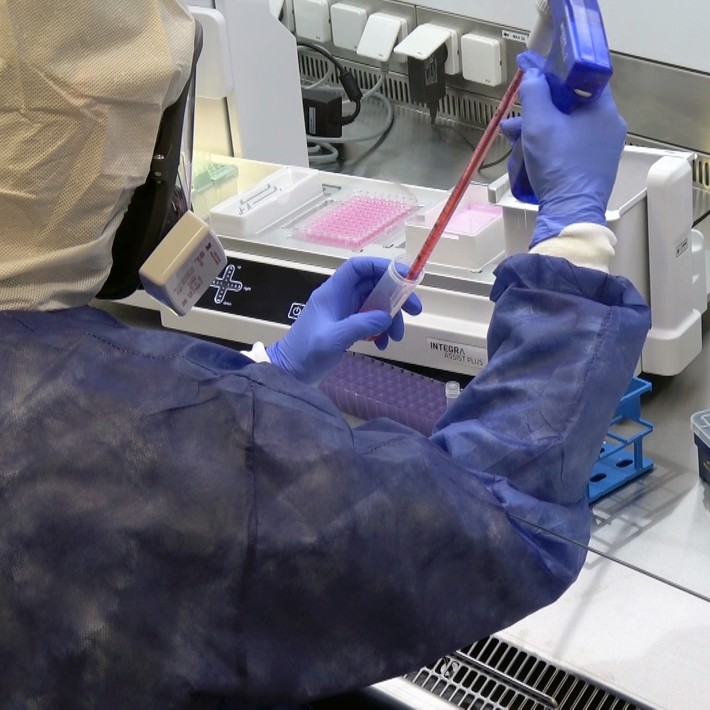working with viruses at BSL3 