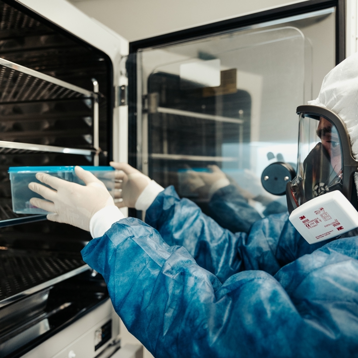 working with viruses at BSL4