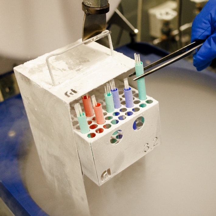 Liquid Nitrogen storage of embryo's and sperm at the LUMC