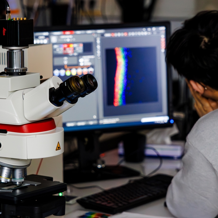 Researcher looking at screen with results from microscope