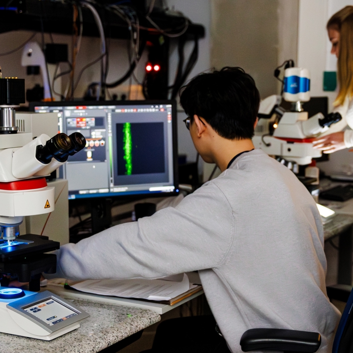 People operating different microscopes