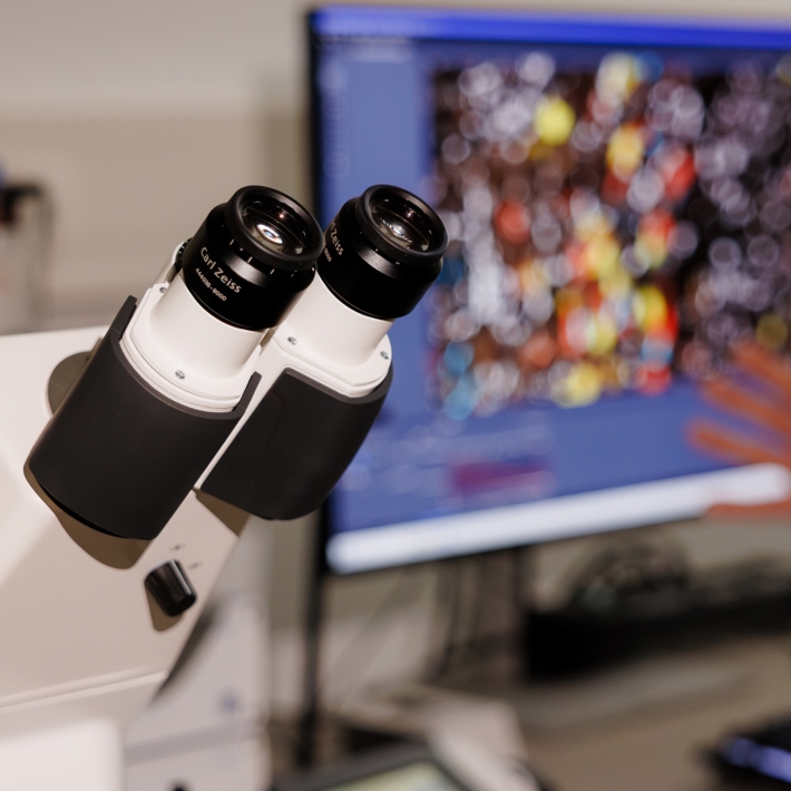 Close-up of oculars, screen in background