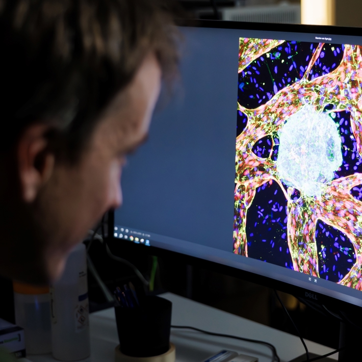 Adjusting screen setting on microscope computer