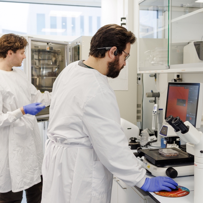 Two researchers at work in the hiPSC lab