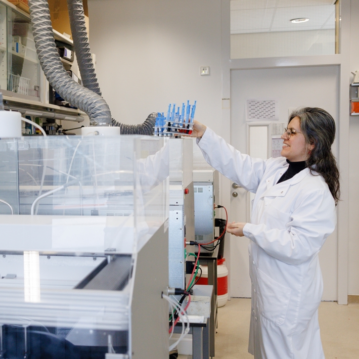 Researcher working in lab
