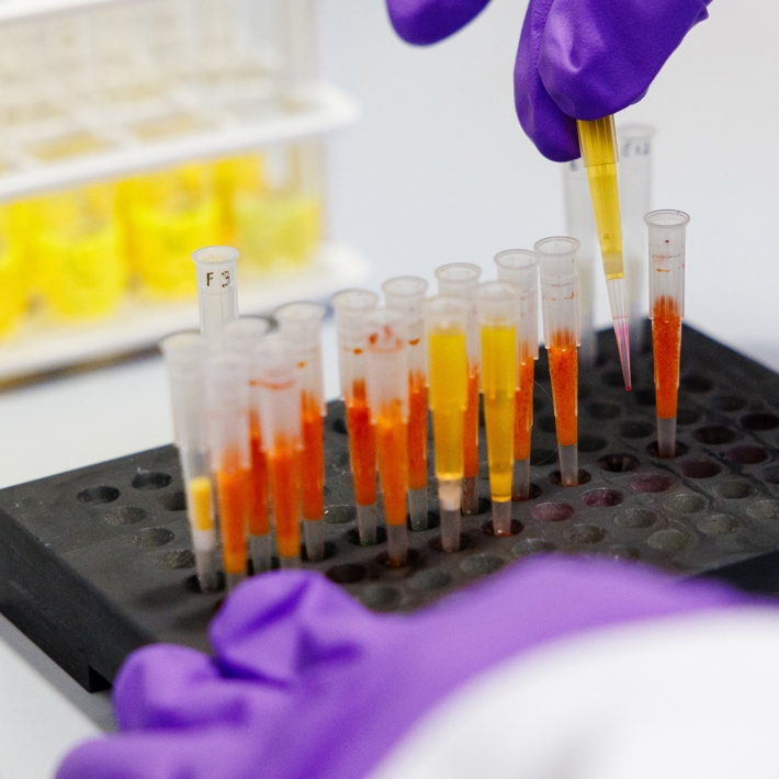 Close-up of gloved hand taking pipette from tray with pipettes