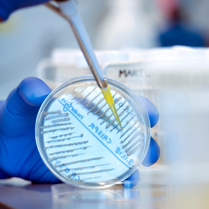 shRNA & CRISPR libraries services