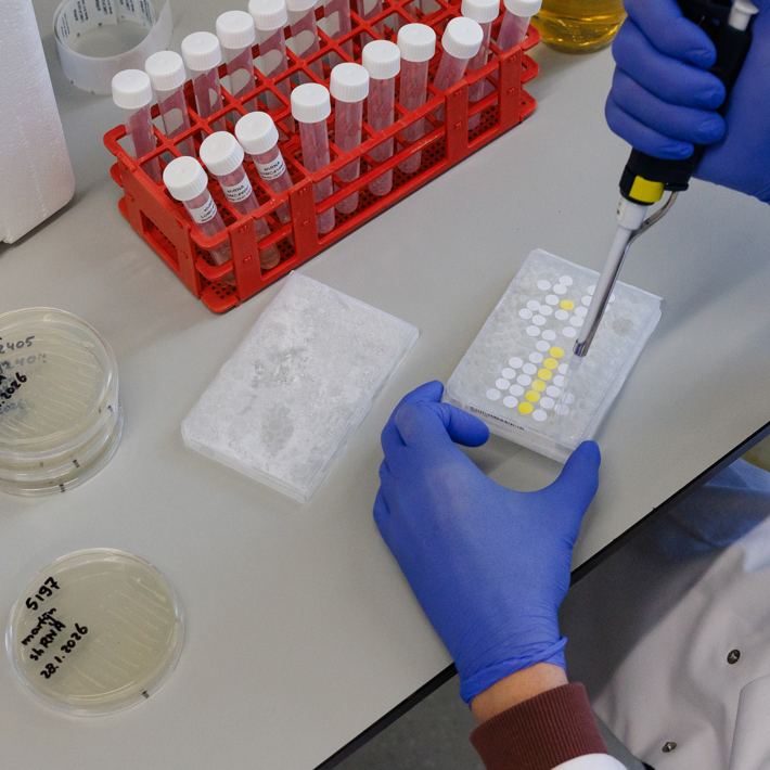 shRNA & CRISPR libraries services