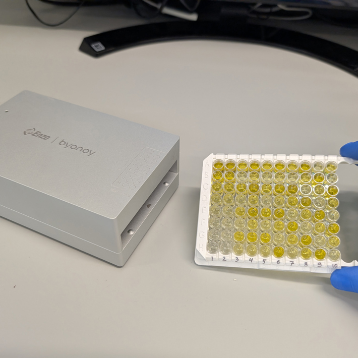 Lentivirus production, p24 ELISA, platereader Enzo Byonoy