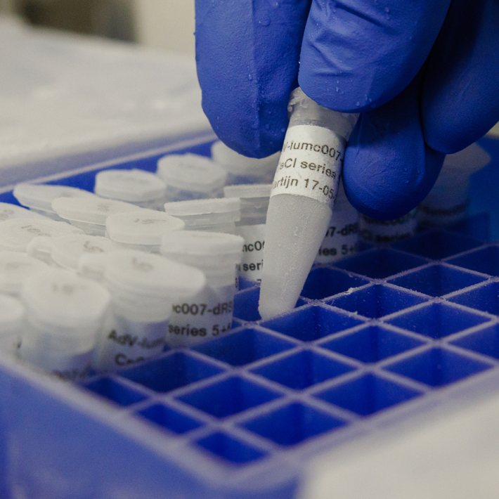 Adenovirus production, purified batch