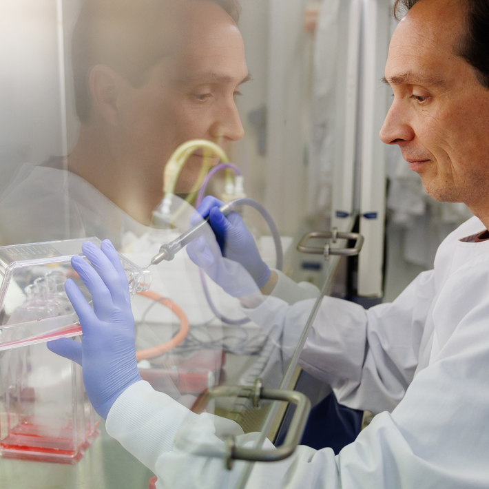 Adenovirus production (Martijn Rabelink)