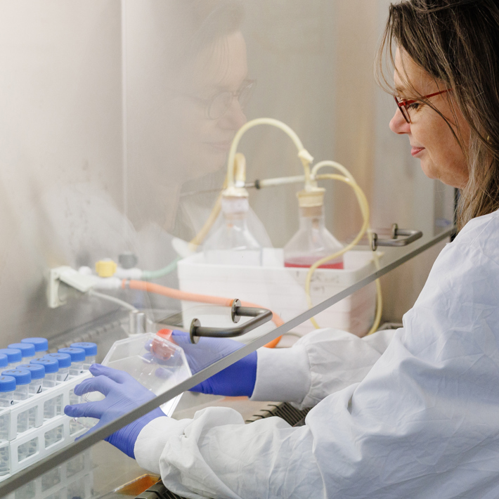 Virus production (Diana van den Wollenberg)